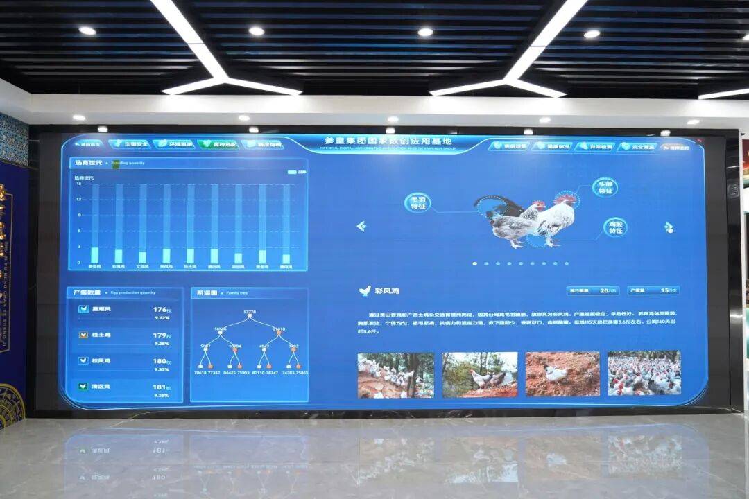 “鬱”见好年货：解码玉林特色农产品的品牌化之路